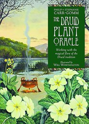Druid Plant oracle by Carr-Gomm & Carr-Gomm
