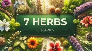 Aries: 7 Power Herbs Every Aries Needs to Control Their Fire ♈ | CGH News Aries: 7 Power Herbs Every Aries Needs to Control Their Fire ♈ | CGH News