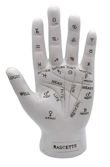 7\" Palmistry Hand