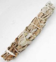 White Sage smudge 5-6"