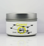 Gemini Astrological Candle 4 oz.