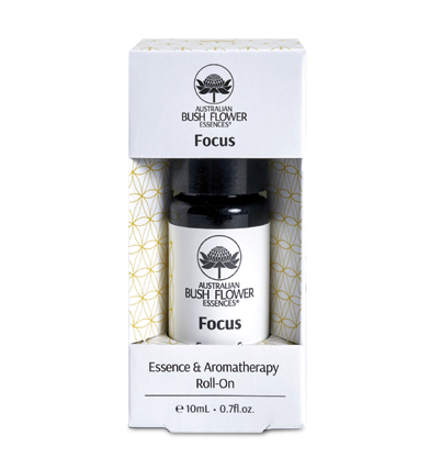 Focus Essence Roll-On 10ml