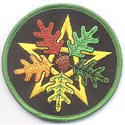 Oak Leaf Pentagram iron-on patch 3\"