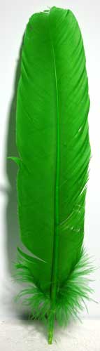 (Set of 10) Green feather 12" - Click Image to Close