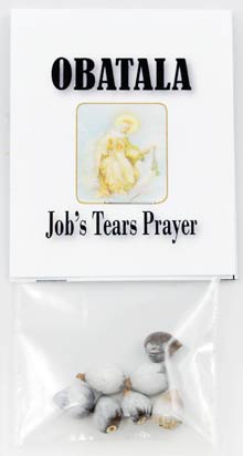 Job\'s Tears