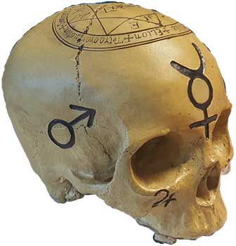 Mystic Skull - Click Image to Close